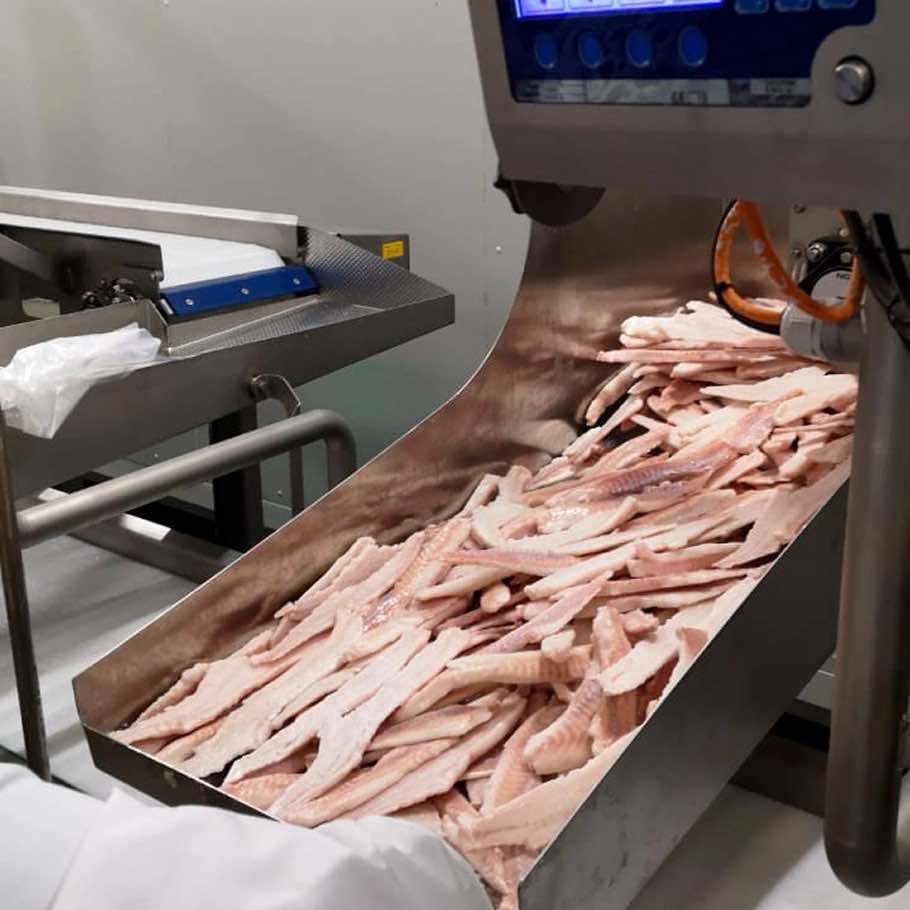 Весовое оборудование для конвейеров на судах: как выбрать надежное решение