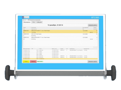 Весовой терминал ВТ2400